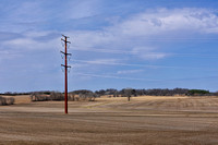 The pole