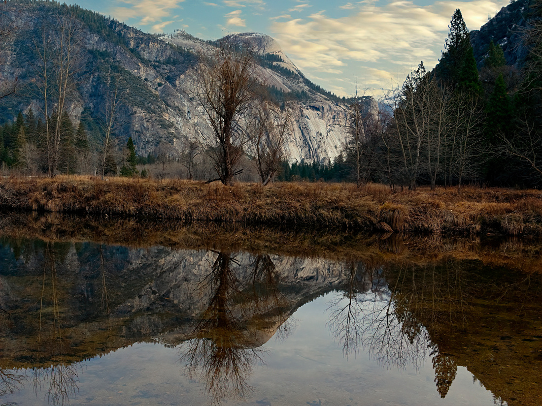 Amazing Reflection