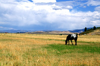 Wyoming scene