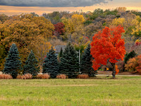 Autumn in Minnesota