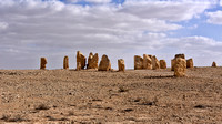 Desert sculptures