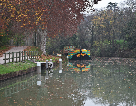 Autumn in the Canal