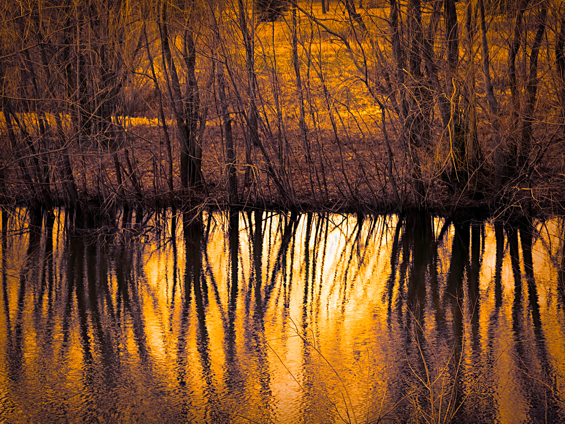 Golden reflection