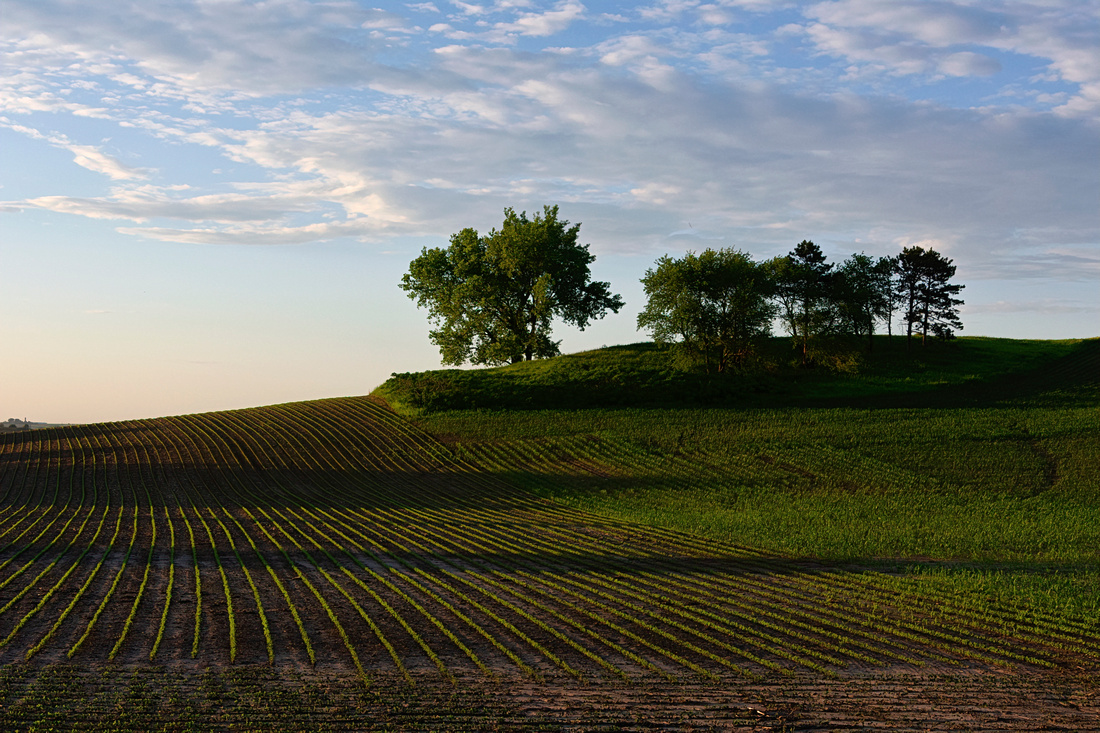 Spring evening