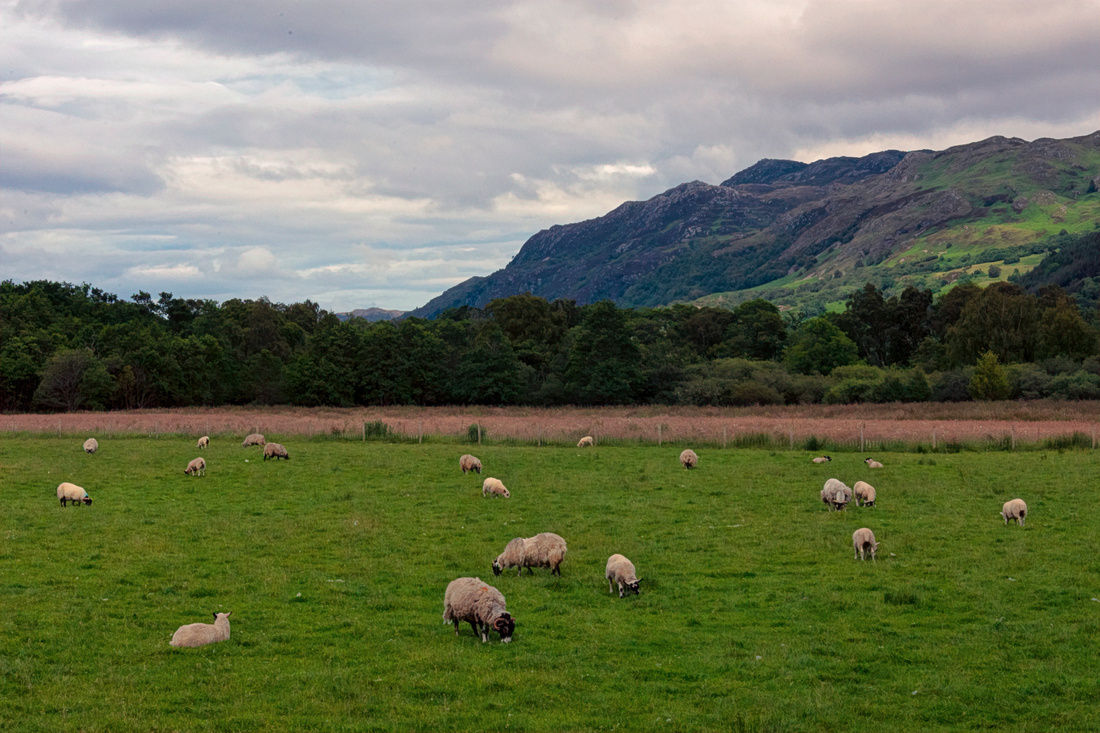 Rural Scotland