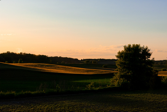 Sunset in the fields