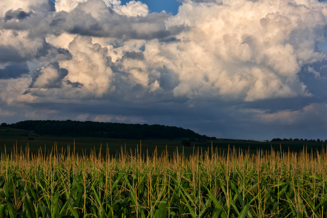 Clouds and corn