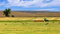 The fields of Montana