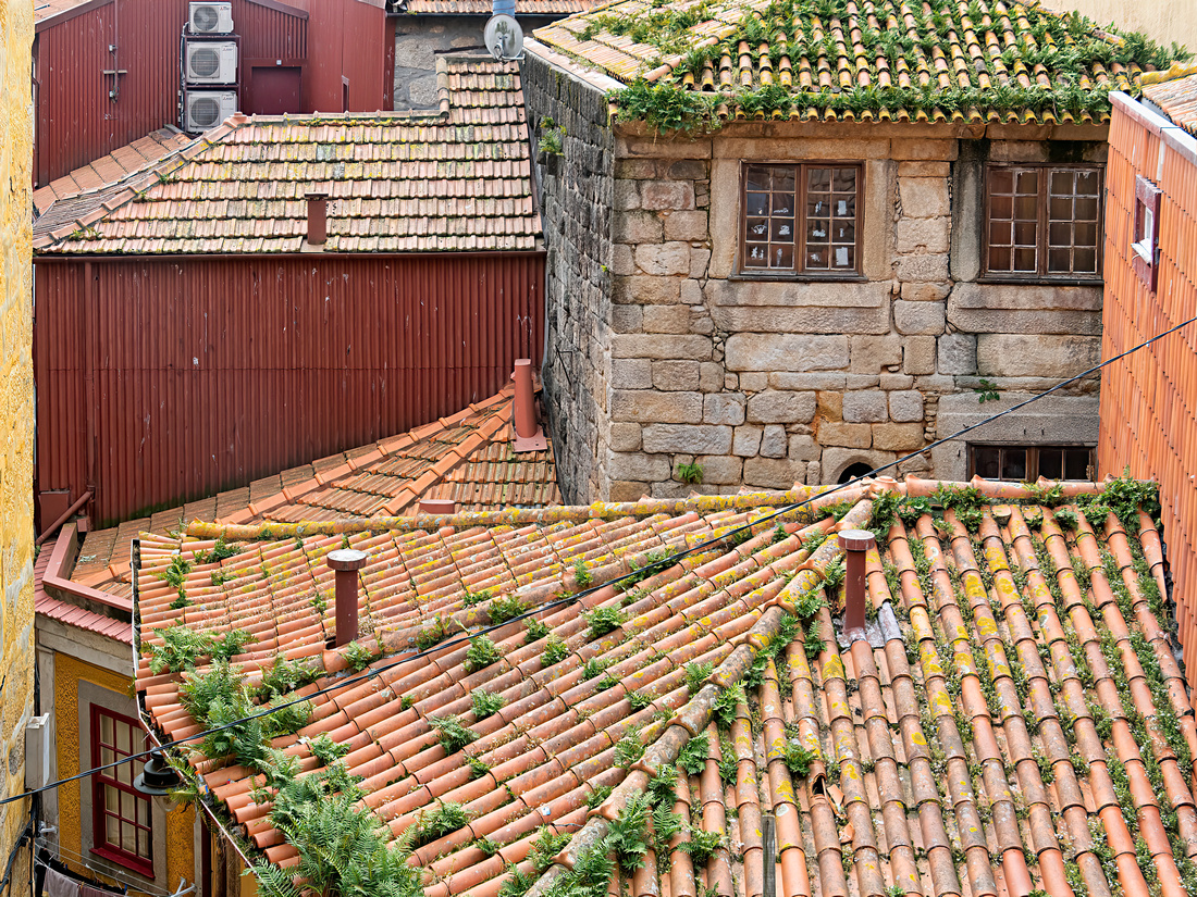 Roofs and windows